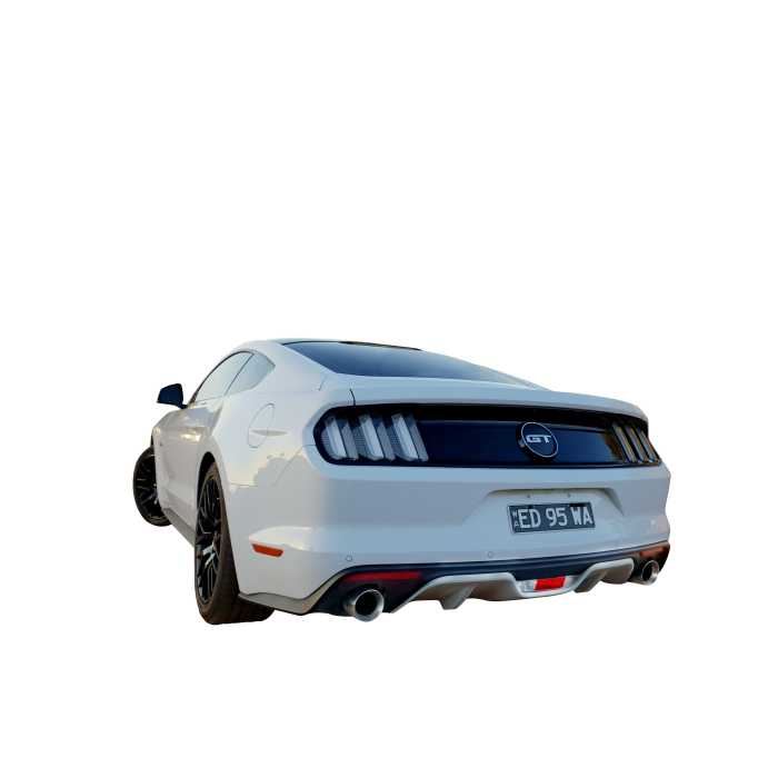 Mustang-1_1